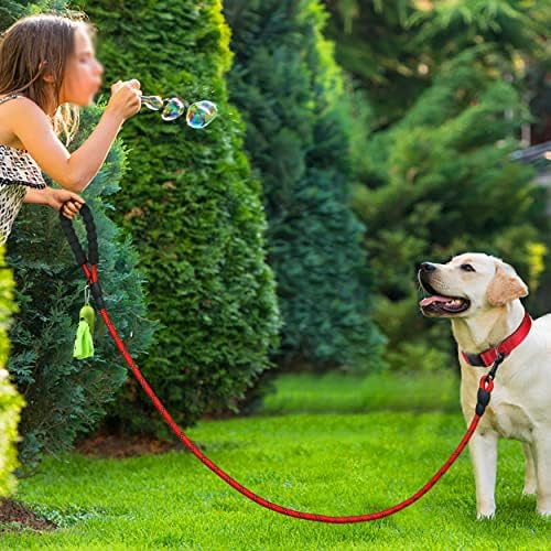 Dynmeow Reffortive Dog Colar e Leash Set, colarinho de estimação ajustável com neoprene macio acolchoado para cães grandes pequenos, corda de escalada, vermelha, l