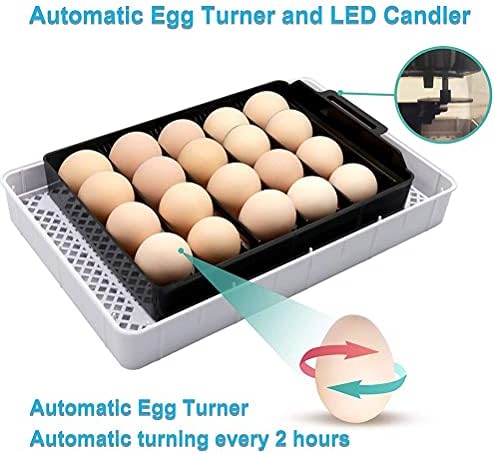Incubadora de ovo zapion 15 ovos totalmente automáticos Máquina de aves Controle de temperatura digital para pombos de patos de