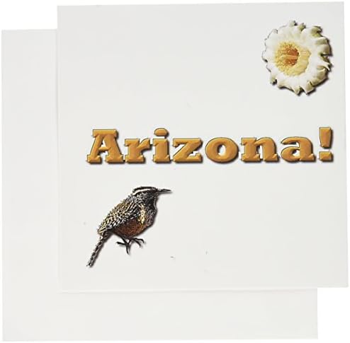 3drose Arizona - cartões de felicitações, 6 x 6 polegadas, conjunto de 6