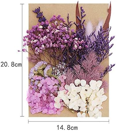 Flores secas naturais para resina Flores prensadas Resina Resina Supplies usados ​​para fazer artesanato ou decoração de móveis