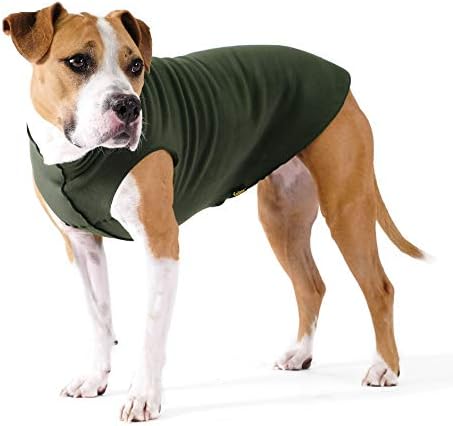 Gold Paw Stretch Lã Casaco de cachorro-roupas de cachorro macias e quentes, suéter de estimação elástica-lavável máquina, amigável ecológico-durante toda a temporada-tamanhos 2-33, Hunter Green, tamanho 12