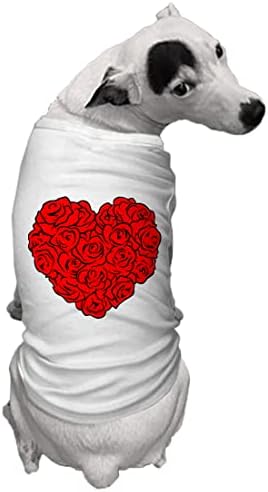 Coração de rosas - Flores Camisa de cachorro linda