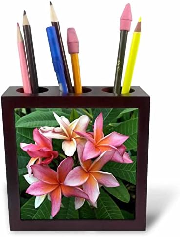 Grinalsa de flor de 3drose de frangipani rosa pálido - portadores de caneta de telha