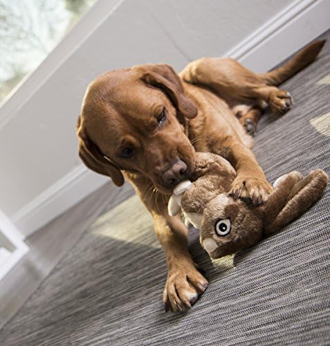 Godog Wildlife Rabbit Squeaky Plush Dog Toy, Chew Guard Technology - Brown, Grande, todos os tamanhos de raça