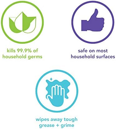 Método Antibacteriano Todos os propósitos Spray, flores silvestres, mata 99,9% dos germes domésticos, 28 fl oz