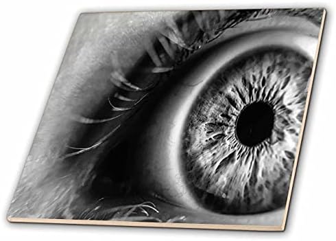 Imagem 3drose de macro preto e branco de olho humano - telhas