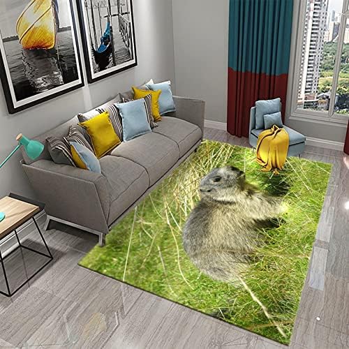 Cusma verde 3d engraçado fofo otter tapete cozinha banheiro da sala de estar da porta de estar anti-deslizamento tapete