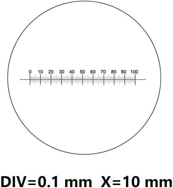 Acessórios para microscópio de laboratório x = 10 régua de escala Micrômetro de ocular dividir 0,1 mm Medição horizontal de 100 Grático Micrômetro ocular para microscópio