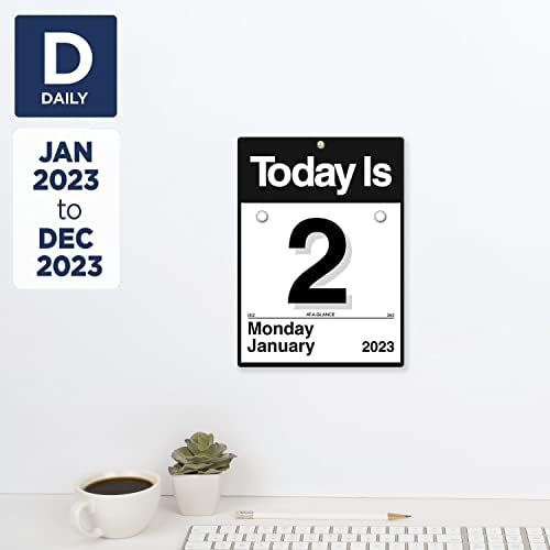 No calendário diário de parede diário 2023, hoje é , 6 x 6 , calendário pequeno com base rígida de vinil