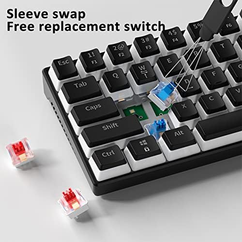 PLRG Mini Gaming Mechanical Keyboard, 61key Wired Swappable Anti-Ghosting RGB Teclado portátil ergonômico Switch White-Blue