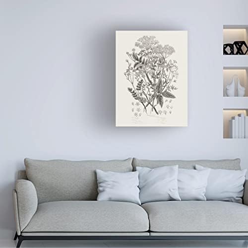 Marca registrada Bineta 'plantas de floração i neutra' Arte da tela por portfólio de maçã selvagem 24x32