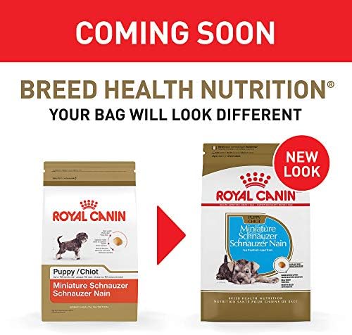 Royal Canin Breed Health Nutrition Miniature Schnauzer Puppy Dry Dog Food, 2,5 lb