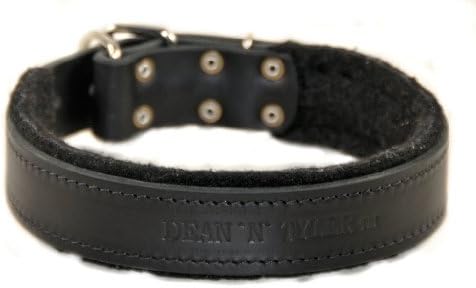 Dean e Tyler D&T Delight Dog Collar - Hardware de níquel - preto - tamanho 40 x 1 1/2 Largura. Se encaixa no tamanho do pescoço de 38 polegadas a 42 polegadas.