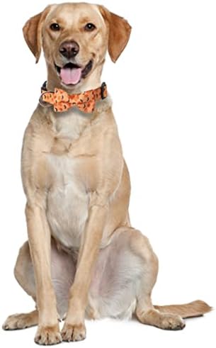 Colar de cachorro de Halloween com colares de estimação ajustáveis ​​de gravata borboleta removíveis
