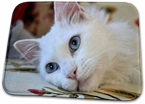 3drose relaxado van gato - gato branco, van gato, van gato turco. - tapetes de secagem de pratos