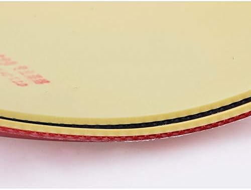 729 RITC Amizade de beleza de tênis de mesa de asa-dei-in-as-da-céu com esponja