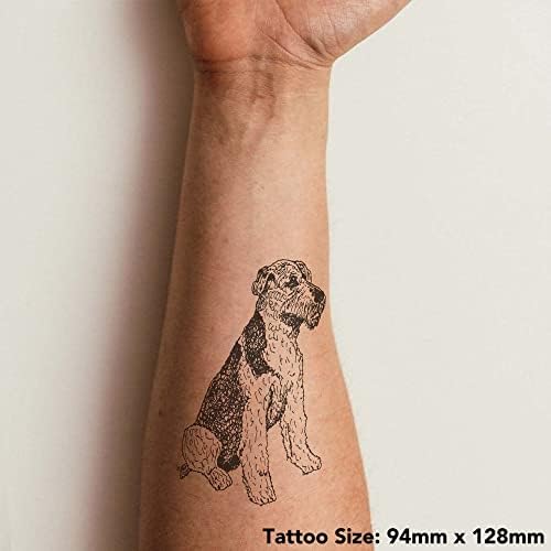 4 X 'Airedale Terrier' Tatuagens temporárias