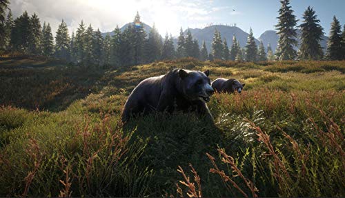 TheHunter: Call of the Wild - Edição 2019 - PS4