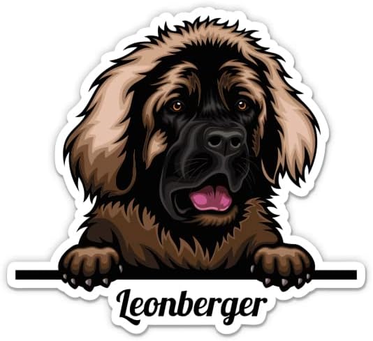 Adesivos Leonberger - 2 pacote de adesivos de 3 - vinil à prova d'água para carro, telefone, garrafa de água, laptop - adesivos de cachorro Leonberger