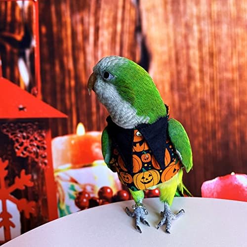 Roupas de pássaros - camisa de suéter de halloween de algodão artesanal com maiô de vôo de padrões de abóbora para papagaio