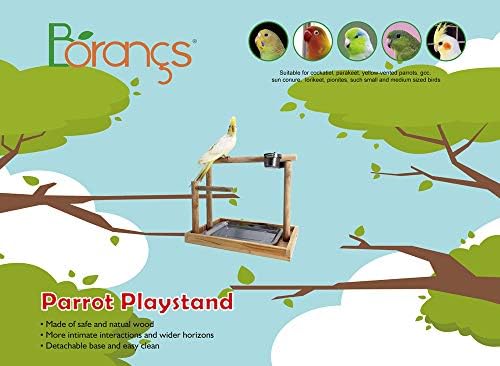 Borangs Parrot Playstand Bird Playground Wood Perch Gym Training Stand Playpen Bird Toys Experim