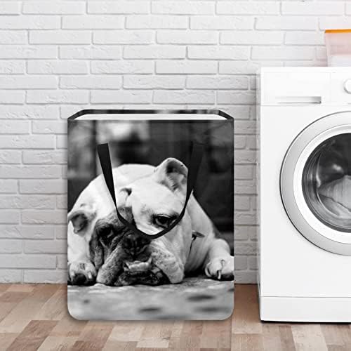 Djrow Laundry Bin Inglês Bulldog com rosto triste Capacitar Capacitável Capacular Roupas com alças BIN de armazenamento para