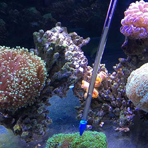 Alimentador de coral popeetpop sps alimentador de seringa longa- alimentador de fertilizante líquido de seringa alimentador de