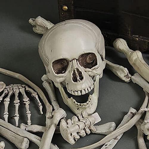 Topup 28 peças Decorações de esqueleto de Halloween esqueleto de Halloween de corpo inteiro com articulações móveis para as melhores
