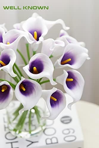 Bem conhecido 20 PCs Calla Lily Flowers Artificial em vaso de vidro, Touch Touch Arranjos de flores falsas com vaso de buquê