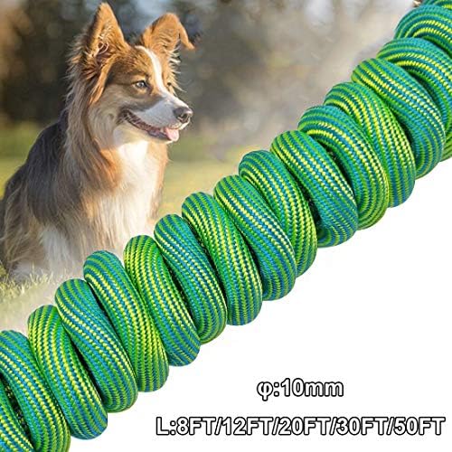 Btinesful 8ft/12ft/20ft/30ft/50ft Tie-out cordão com cordão longo de corda de corda de cachorro, lembre-se de treinar a colada- ótima para um grande treinamento de cães pequenos médios, brincando, acampar ou quintal