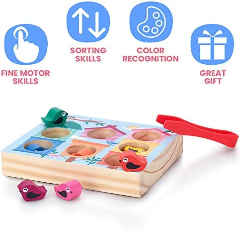 TOYPIX Birdhouse de triagem de cores de madeira - Montessori Toys para crianças de 3 anos | Tweezers de habilidades