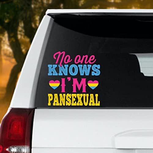 Ninguém sabe que sou pansexual decalques de carro gay orgulho decalque LGBT Rainbow Igualdade lésbica Vinil adesivos Decal