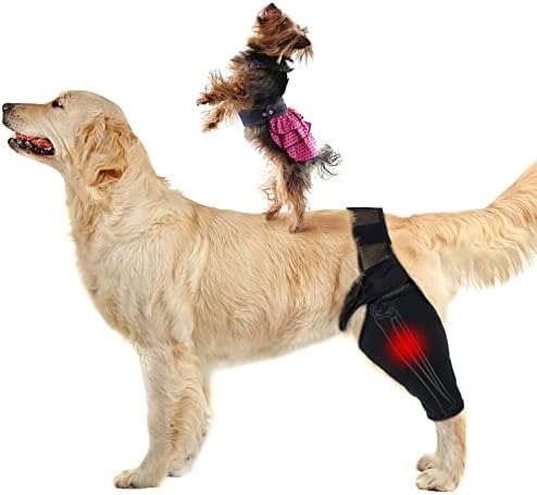 Tondiamo Dog Knee Brace Brace para cachorro Ponto Hind Legs Protetor Praças de cachorro com tiras para a luxação do joelho