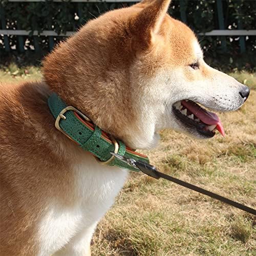 Aipnis personalizado colar de cachorro de camada dupla personalizada, personalizada com placa de identificação gravada, etiquetas