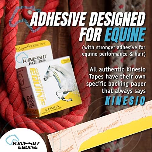 Fita Equina Kinesio - Tex Gold FP Fita de cavalo -tape feita especificamente para cavalos - 2 ”x 16 'Roll