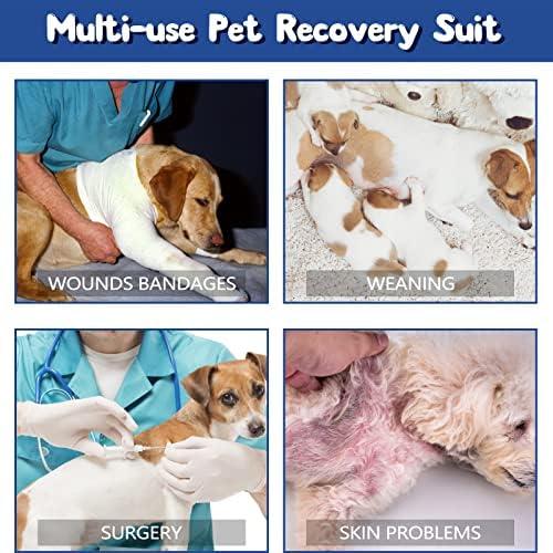 Rypet 2 Pacote para recuperação de cães traje abdominal Roupas cirúrgicas de feridas para fêmeas de estimação do sexo feminino de estimação de animais de estimação After
