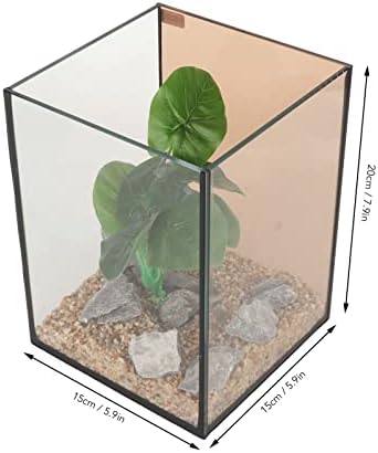 Kit de aquário de vidro, mini compacto de baixo ruído para desktop mini -peix tank desktop decoração para mesa