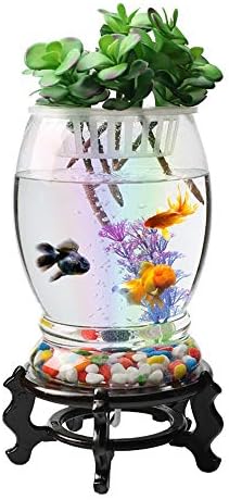 Uxzdx sem-circular semi-circular tanque de vidro da sala de estar em casa aquário criativo cilindro de tanque de peixe ecológico de ouro ecológico