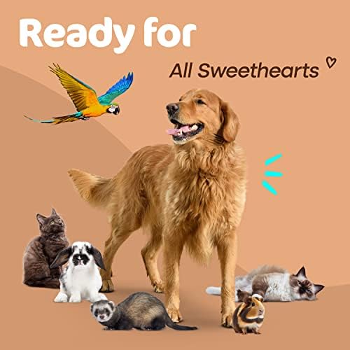 Sunny & Honey Pet Stain & Odor Miracle - limpador de enzimas para urina de cachorro e gato, fezes, vômito, baba