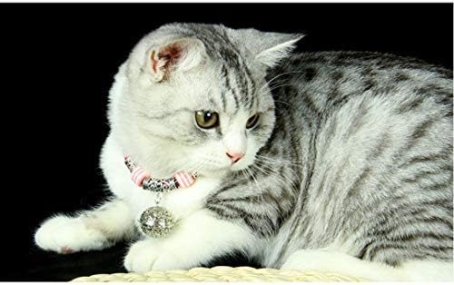 N B Gola de estimação ajustável para todos os gatos com um sino de prata para proteger a saúde e a longevidade dos