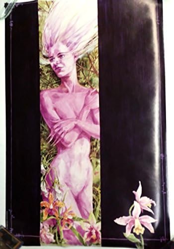 Black Orchid DC Comics Vintage 1993 Poster 22 x 34 polegadas de Art Jill Thompson