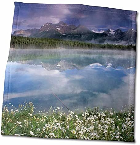3d Rose Alberta-Banff Parque Nacional. Lago Maligne Wildflowers-CN01 GJE0000-Gavriel Jecan Hand/Sports Toalhas, 15 x 22