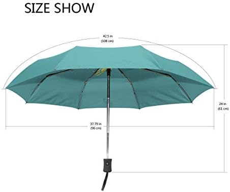 Chinein Travel Umbrella Auto Open Compact Dobing Sun & Rain Protection Happy Shavuot Judaic