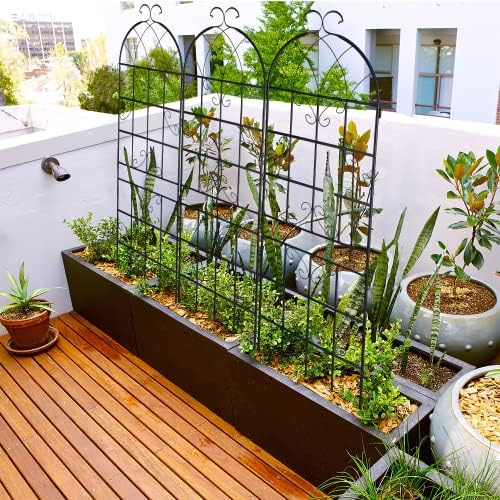 Poshions Garden Trellis Metal Trellis 2 Pack Metal Garden Trellis 71 × 20 Salbing Rose Trellis Trellis Trellis para escalar trellis para rosas Trellis decorativas