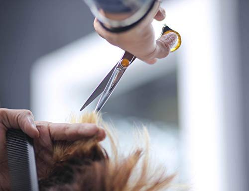 Tesoura profissional de corte de cabelo de barbeiro da Athlen - Scissoras de salão de barbeira de aço inoxidável japonês - comprimento total de 6,5 ” - tesouras premium para corte de cabelo de homens mulheres adultos crianças bebês bebês bebês bebês bebês