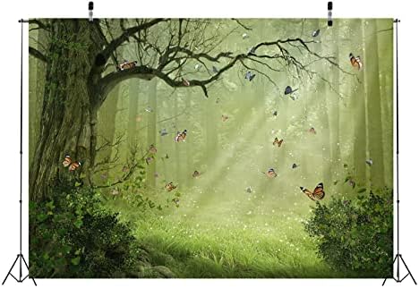 BELECO FAILE TOLE FOREST CAMENTO DE FLORESTA DE 12X8 ° Freia da selva Sol de borboletas de borboletas Florestas encantadas