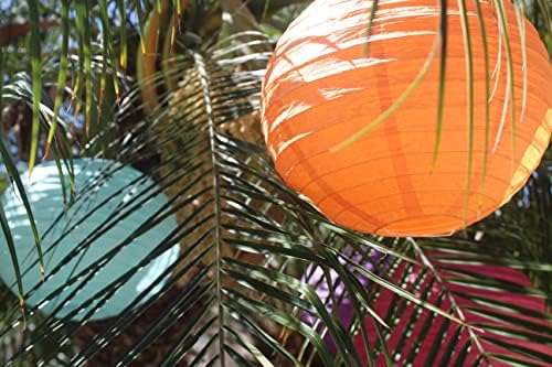 Apenas artefatos de papel temático tropical Conjunto de lanternas - - Chinês/japonês Hanging Paper Decorações - Lanternas de papel Perfeito para sua festa de verão!