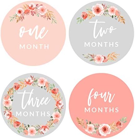 Modern Maxwell Baby Girl Milestone Month Starters 16 pacote de pacote 1 a 12 meses 4 polegadas pêssego rosa floral cinza