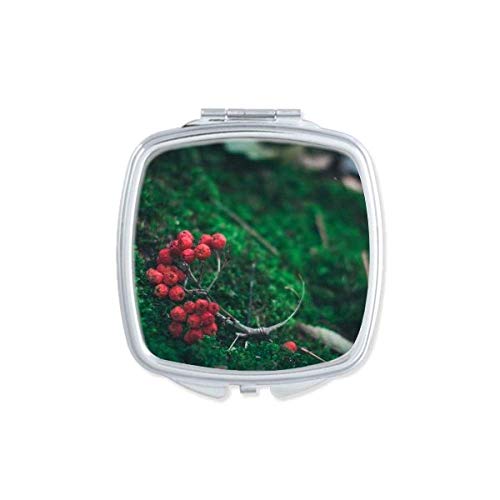 Ciência da natureza florestal de frutas vermelhas cenário da natureza espelhe portátil maquiagem de bolso compacto vidro de dupla