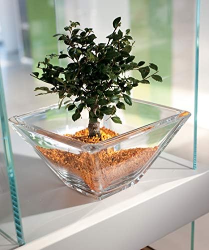Barski - Glass Europeu - quadrado - tigela - 7,7 de diâmetro - feita na Europa